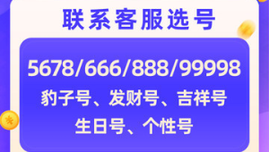 号易靓号任选！19 元 100G+100 分钟，代理选号推荐