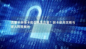 号易家庭共享套餐：多人共用的流量分配技巧​