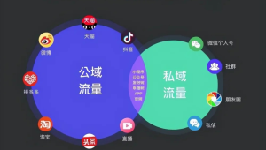 号易代理线上获客：私域 + 公域的联动玩法​